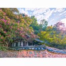 파산정(巴山亭) | 안동 파산정