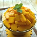 정실농장 | 제주도 공항 근처 내돈내산 애플망고 빙수 맛집 애플망고1784 제주시점