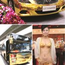 속옷나라 이미지