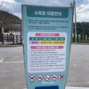 삼선산수목원 벚나무 | 충남 당진 여행 가볼만한곳) 삼선산수목원 산책로