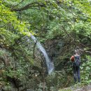 느릅나무민박 이미지