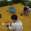 6727 | 맘프리키즈카페 반여동키즈카페 깔끔한 신상 실내놀이터 후기