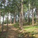 아미초교 이미지