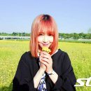 달콤한봄날