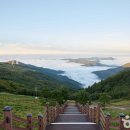 초원 - 동대문구 왕산로 9 | 초원