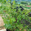 성재농장 이미지