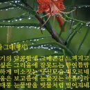 꽃보다그대
