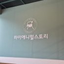 평강농장 | 동물들을 직접 만져보고 먹도 주는 마이애니멀스토리in평강랜드 내돈내산 후기