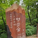 곰배령새소리 | 곰배령 생태숲 여행기