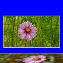 한강시민공원 이미지