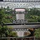 굿모닝차이나 | 대가족 싱가포르 발리 여행 | 차이나타운 토스트박스, 쥬얼창이 &amp; 발리 입국 준비