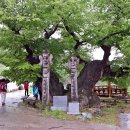 갈산천 구곡길 이미지