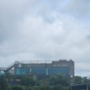 성읍리-3 | 제주 성읍리 카페 오늘은 녹차한잔 8만 평 녹차밭 뷰에 말차에이드&amp;호지차라떼