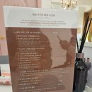 닷옴사진관 이미지