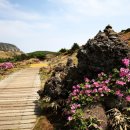 산정상경관 이미지