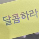 달콤하라