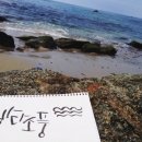 바다소풍 이미지