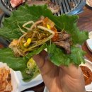 통갈매기바다로날다