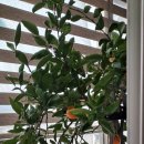 조양로33번길 이미지