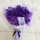 상원리나유치원 이미지