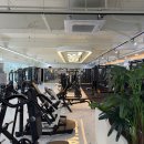 부티크페리아 이미지