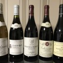 [와인 Study#5] Bourgogne Grand Crus 이미지