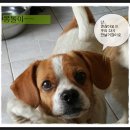 기다리다 이미지