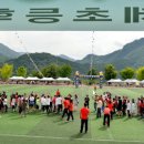 인제초등학교 이미지