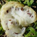 노니카페 이미지