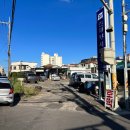 뉴인제카 이미지