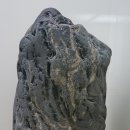 덕소자연사박물관 이미지