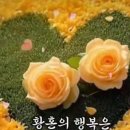 ♧노인의 좌절과 즐거움♧ 이미지