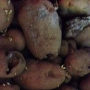 점말농장 이미지