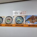 복자몸국 이미지