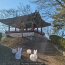 솥바위소고기국밥 이미지