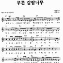푸른감람나무 이미지