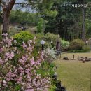 서종의 아침 이미지