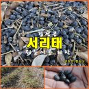 (텃밭/231201) 서리태 타작후 분리하기 이미지