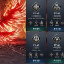 주식회사 신비로운숲 이미지