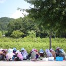 화지9리 이미지