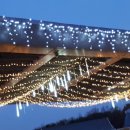 울산 대공원별빛축제 이미지