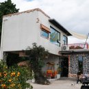 카페돈 | 제주 서귀포 귤따기체험 카페 귤한편 내돈 후기