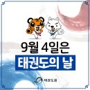 경희대 승리 태권도 이미지