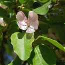 식물원 정자옆 이미지