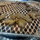 훈이네땅콩 이미지