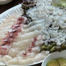 생생직판장동탄