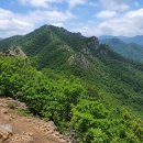 치악산약국 네이버블로그