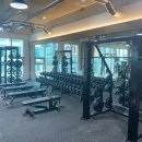 369피트니스 이미지