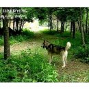 은비령산장 이미지