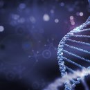 성모재활의학과의원 이미지